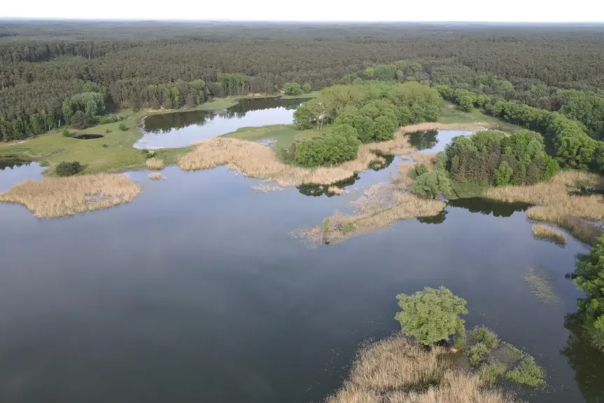 inowrocławski, Gniewkowo, Suchatówka, Suchatówka, działka przy lesie !
