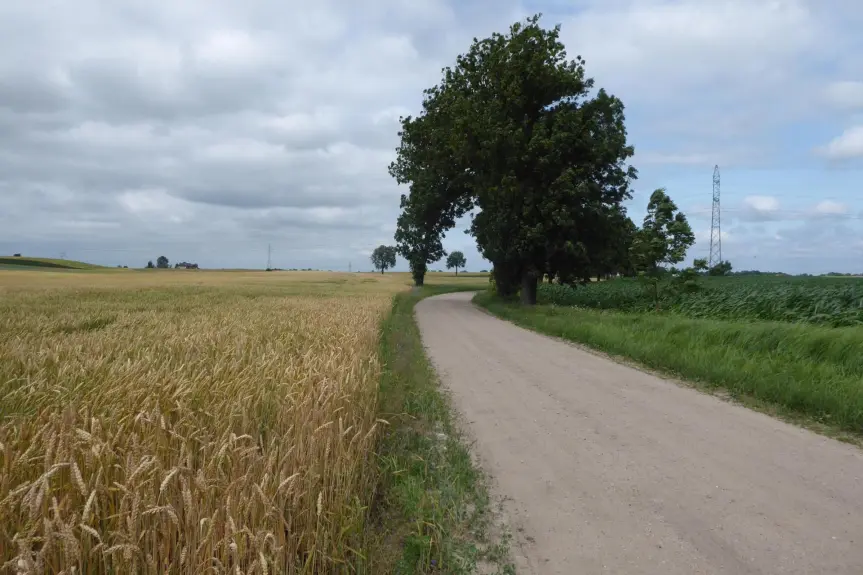 kujawsko-pomorskie, toruński, Lubicz, Grębocin, Przydatki, Działka na sprzedaż