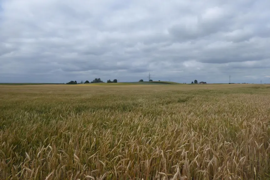 toruński, Lubicz, Grębocin, Przydatki, Działka na sprzedaż