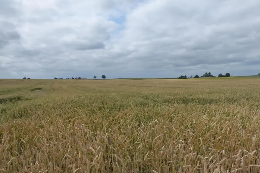 toruński, Lubicz, Grębocin, Przydatki, Działka na sprzedaż