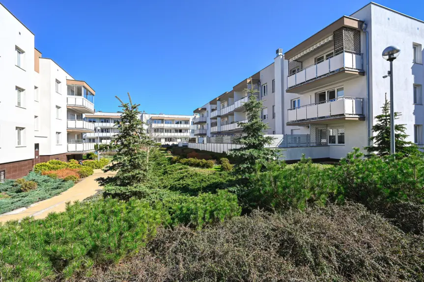 Toruń, Adama Freytaga, Mieszkanie przy lesie!